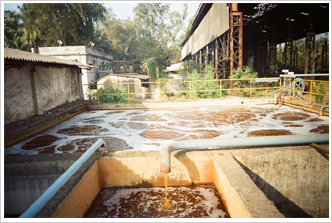 Submerged Aerated Fixed Film Effluent Treatment Plant